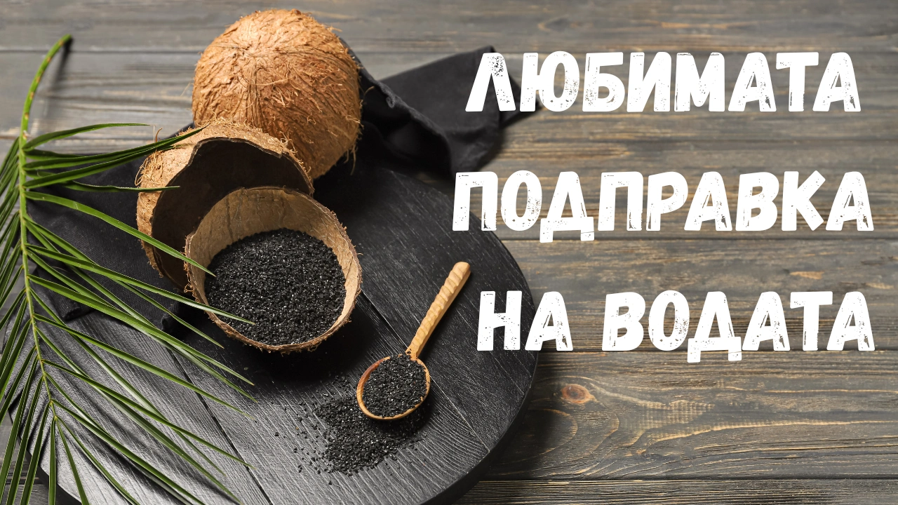 Филтри с активен въглен: приложение и видове